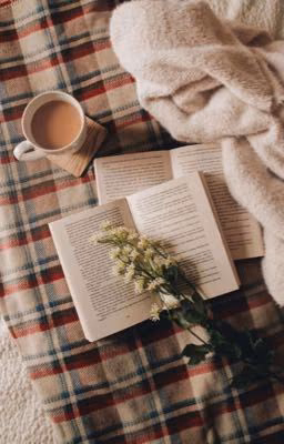 Подборки книг 📚