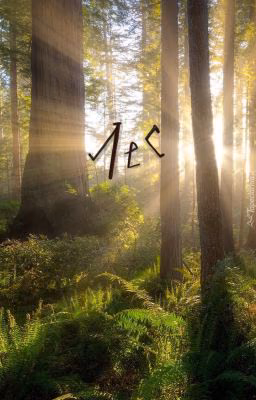 Лес