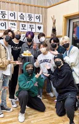 Переводчик Stray kids