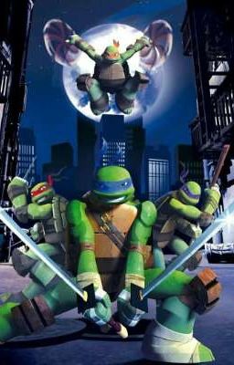 мы попали к черепашкам  ниндзя.