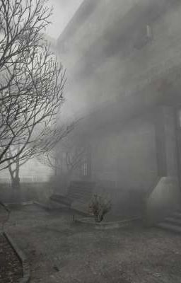 тайна заброшенного лагеря