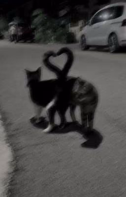 Приключения с компанией пацанов...❤️‍🩹