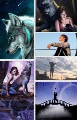 Мой альфа. Моя луна.