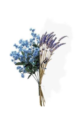 *Переписаный сюжет: Иллюзия воспоминаний*