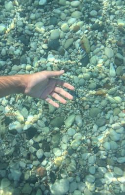 Морская жизнь