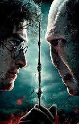 •𝓗𝓐𝓡𝓡𝓨 𝓟𝓞𝓣𝓣𝓔𝓡 -𝓡𝓔𝓐𝓒𝓣𝓘𝓞𝓝𝓢 𝓣𝓞 𝓨/𝓝•