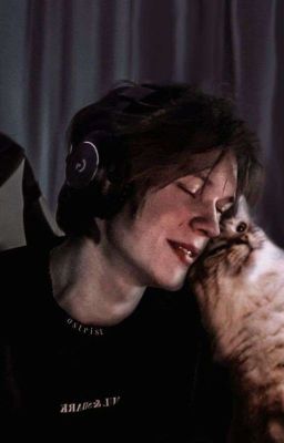 Дипинс//Тишка/Универ