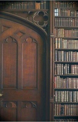 Пыль мудрости