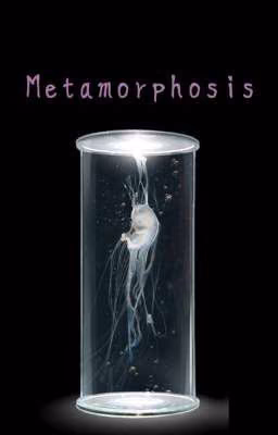 Метаморфоза