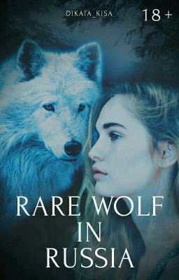 Rare Wolf In Russia