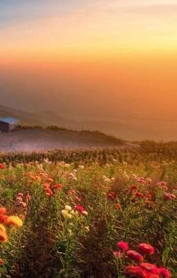 Кровь на разноцветных флагах.