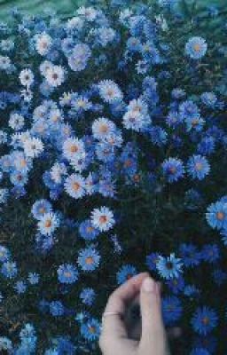 Уличная Любовь