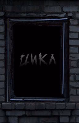 Цикл