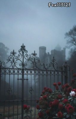 «Райский» сад страданий