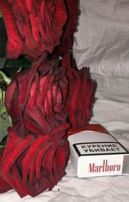 roses [c.h]