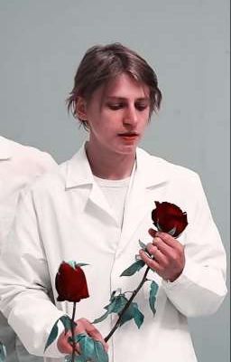 крепкая дружба