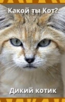 Кошка  Рысь