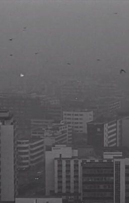 Почему любить Родину - больно?