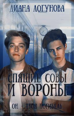Спящие совы и вороны
