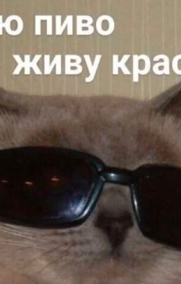 Тип дневник Автора