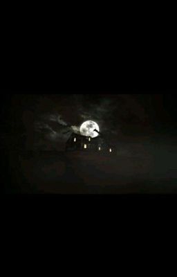 Вторая жизнь