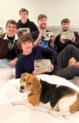 Реакции Mr.Beast и Dsmp/Qsmp