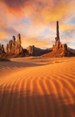 Хранительницы Зверо-браслетов