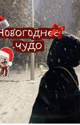 Новогоднее чудо ❄️