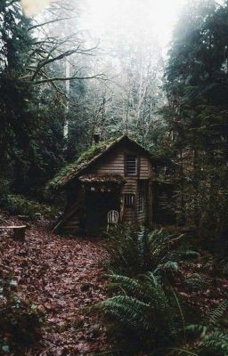 Тайна хижины...