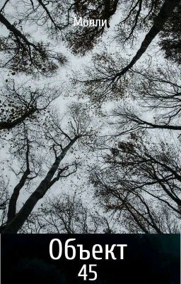 Объект 45