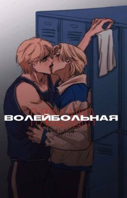 Волейбольная площадка