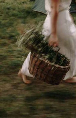 Не ходи ты в тот лес