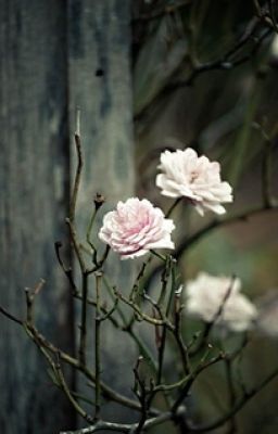 Там где боль.