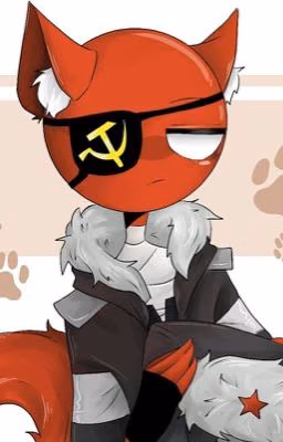 Как мы попали с подругой в countryhumans (часть 2)