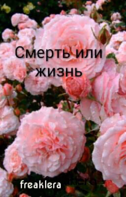 Смерть Или Жизнь
