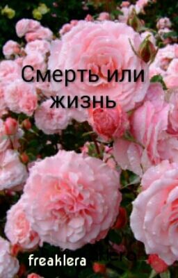 Смерть Или Жизнь