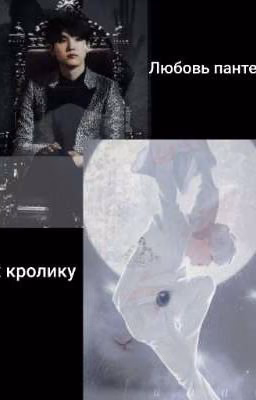 ♥*♡∞:｡.｡　　Любовь пантеры♡♡♡ К кролику｡.｡:∞♡*♥