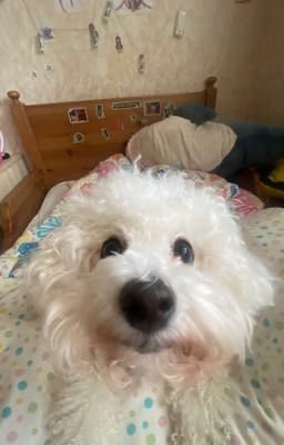 Нелепый случай☺️