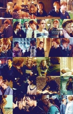 Гермиона Уизли или Гермиона Крам?