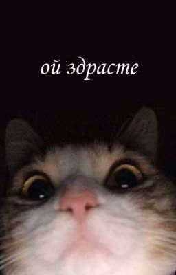 Идеальное комбо~