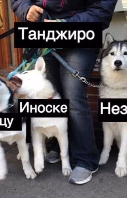Реакции клинок рассекающий демонов