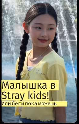 Малышка в Stray kids! (Или беги пока можешь)