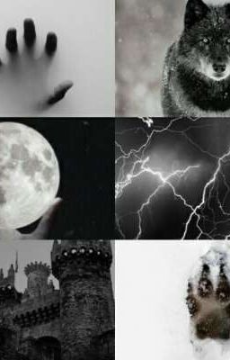 ~Полукровка~