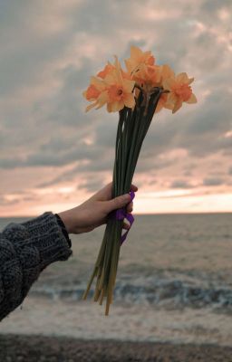 We need love from... 