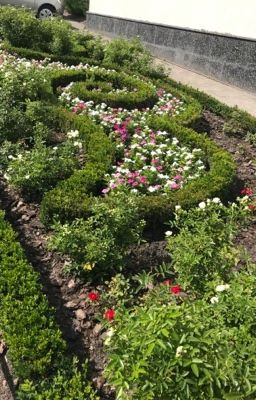 Золотой друг✨