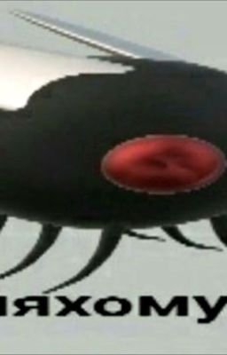 Мухи-дед инсайды