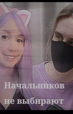 Начальников не выбирают 