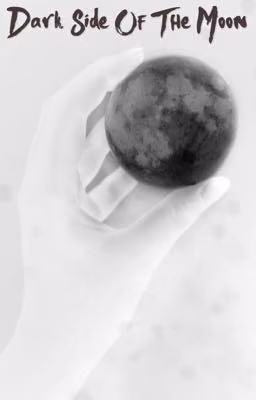 Dark side of the moon