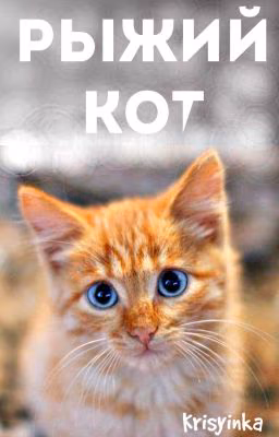 Рыжий кот