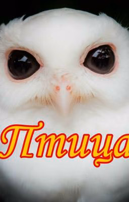 Птица | 18+